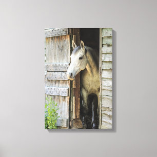Cinza Mare Horse & Barn Rustic Canvas Print