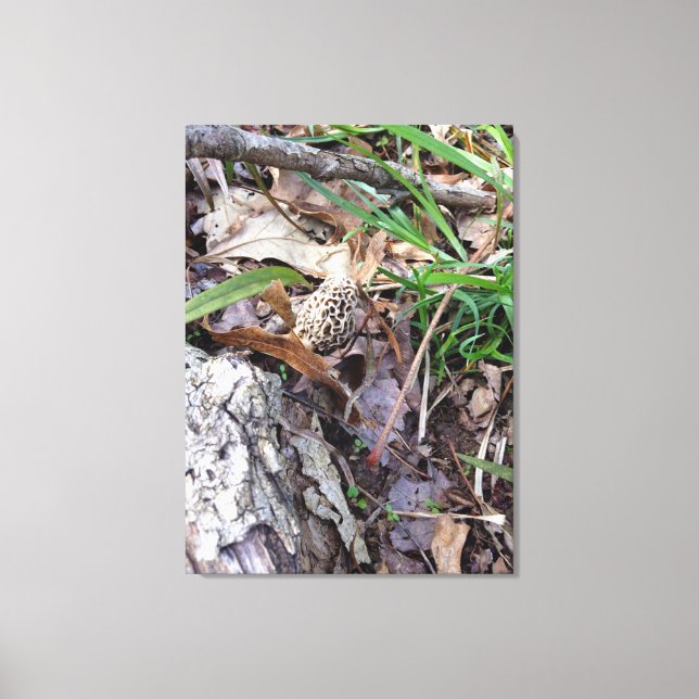 Cinza Morel na Canvas (Frente)