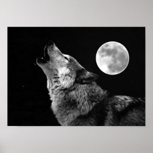 Cinza Poster de Wolf & Moon