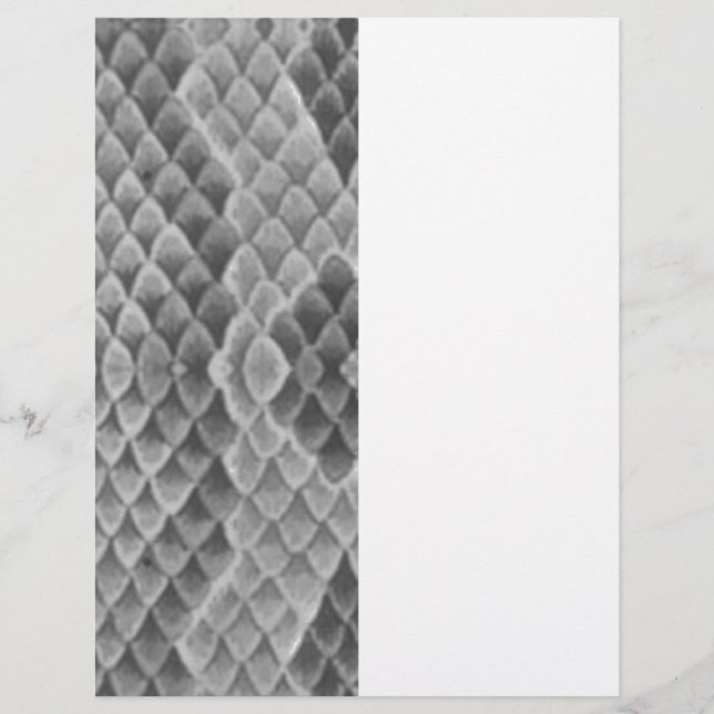 Cinza Snakeskin (Frente)