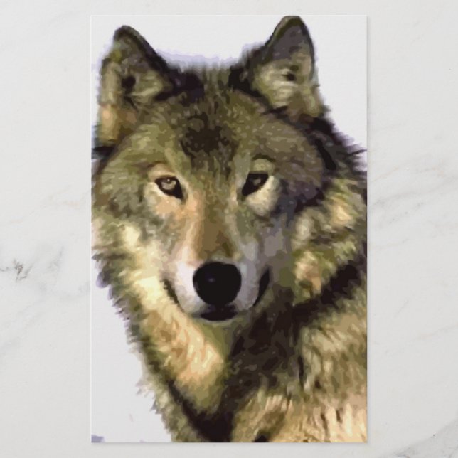 Cinza Wolf (Frente)