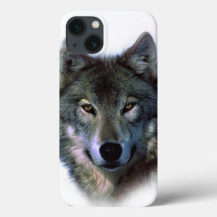 Cinza Wolf Eyes