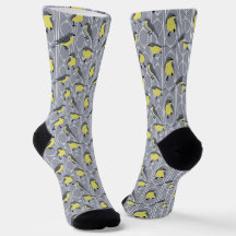 Cinzas de aves da Kirtland e Amarelo