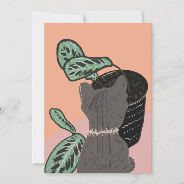 Cinzas De Gato De Tabuleiro Obrigado (Frente)