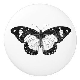 Cinzas e borboleta preta