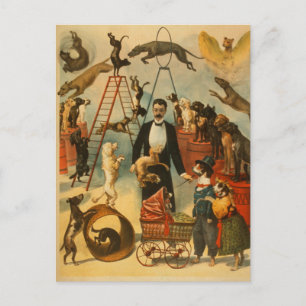 Circo Canino - Cartão Postal #1