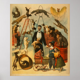 Circo canino! - Poster #2 do teatro