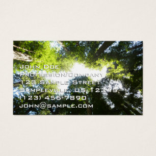 Círculo de Árvores Redwood no Parque Nacional Redw