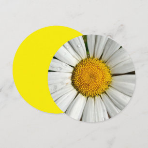 Círculo de Convite 5.25 x 5.25