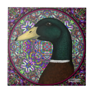 Círculo do mosaico de Drake do pato selvagem