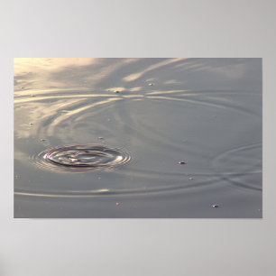 Círculos de luz solar na Poster de pond