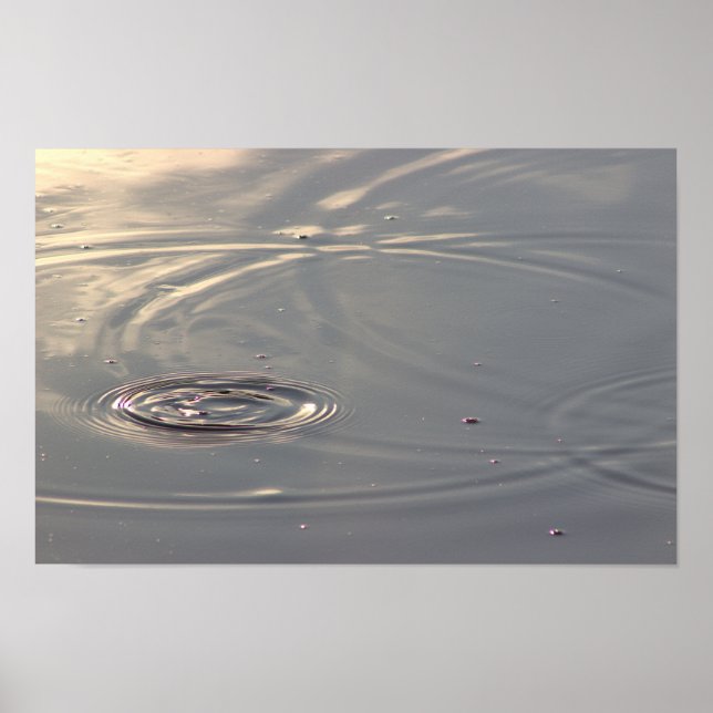 Círculos de luz solar na Poster de pond (Frente)