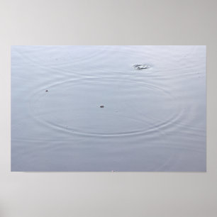 Círculos de luz solar na Poster de pond