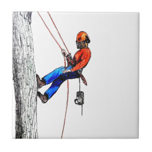 Cirurgião Árvore Arborista