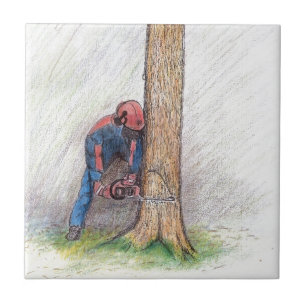 Cirurgião Árvore Arborista