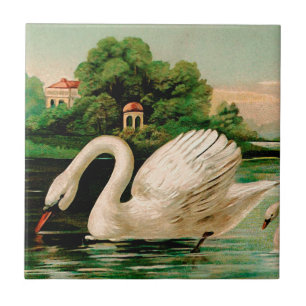 Cisne do vintage no lago
