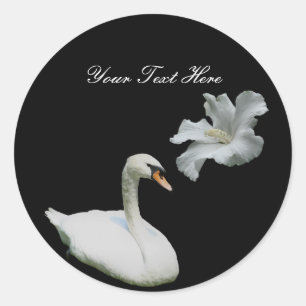 Cisne e etiqueta branca da flor do hibiscus