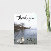 Cisne e Patos no lago Cartões de agradecimentos