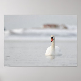 Cisne em um pôster de paisagem marinha congelada