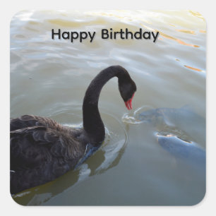 Cisne Negro E Peixe Grande, Adesivos de Aniversári