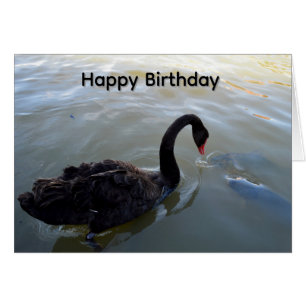 Cisne Negro E Peixe Grande, Cartão de Aniversário