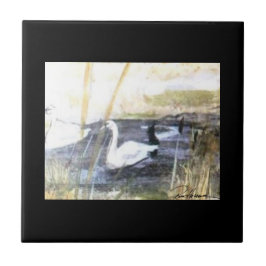 Cisne pacífico. . .