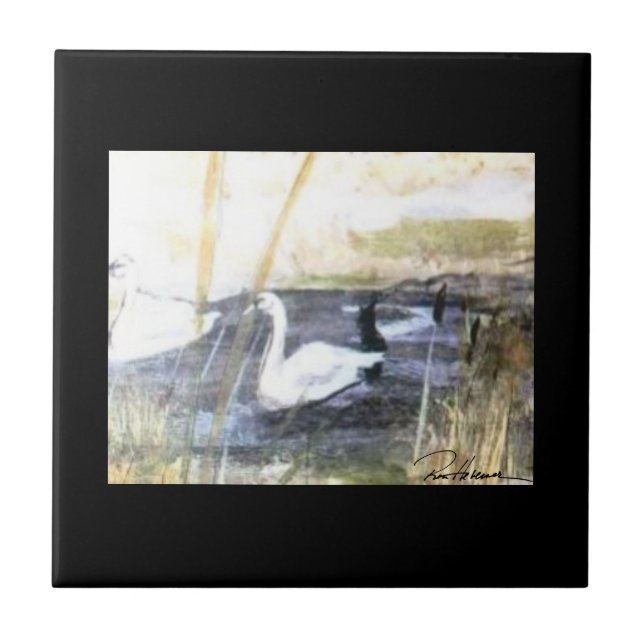 Cisne pacífico. . . (Frente)