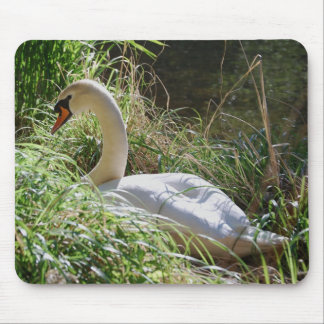 Cisne sereno Mousepad