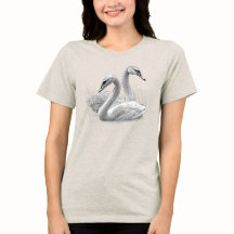 CISNES DESENHADOS À MÃO