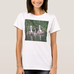 Cisnes e Cygnets Damas T Camisa