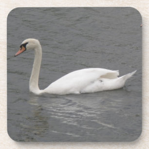 Cisnes na Porta copos do rio Cork