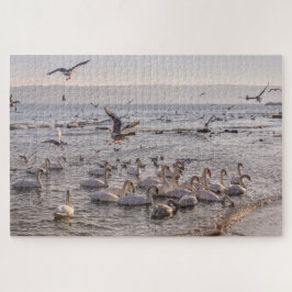 Cisnes na Quebra-cabeça do Mar Negro
