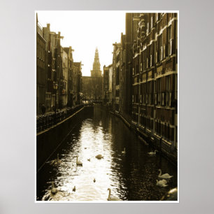 Cisnes no Canal de Amsterdã na Dawn Poster Art