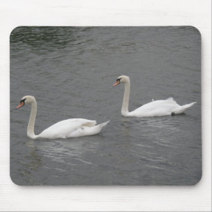 Cisnes no rio Mousepad