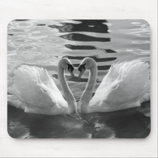 Cisnes preto e branco Mousepad