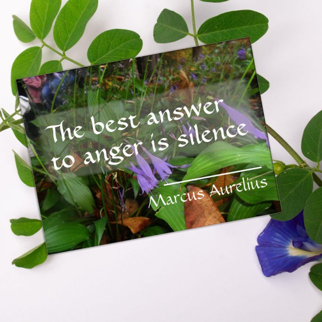 Citação da sabedoria latina sobre a melhor poster (Criador carregado)