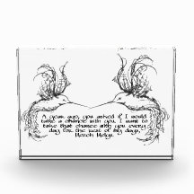 citação de beija-flor