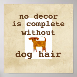 citação de humor de cão poster sobre fundo angusti