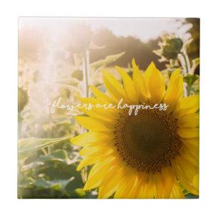 Citação do girassol "flores são felicidade"