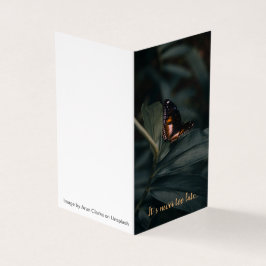 Citação F. Scott Fitzgerald