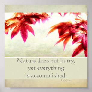 citação inspiradora arte da natureza poster