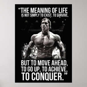 Citação Inspiradora - Poster de Motivação de T