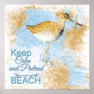 Citações da praia com o poster do pássaro   da