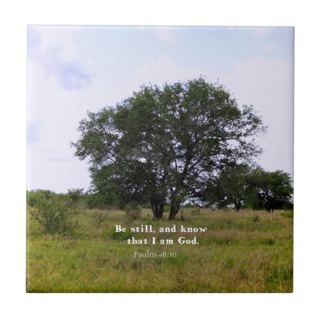 Citações inspiradas da bíblia do 46:10 do salmo (Frente)