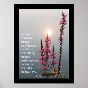 Citações inspiradas e poster de Tzu do Lao dos