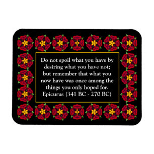 Citações inspiradas no ímã de Disire