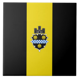 City Flag de Pittsburgh (Pensilvânia)