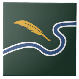 City Flag of Northampton (Massachusetts, EUA)