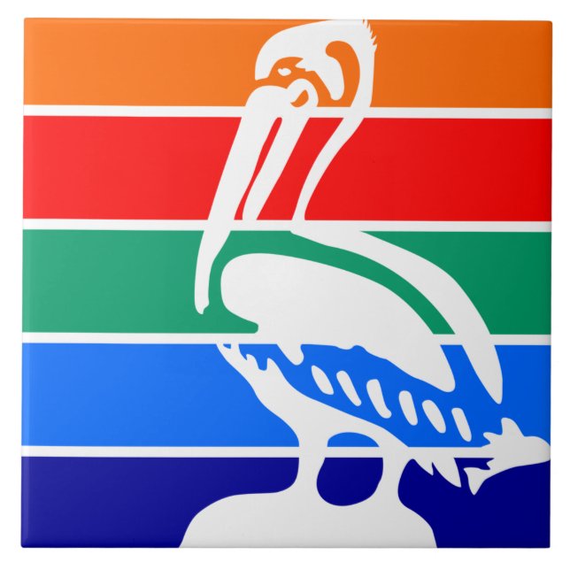 City Flag of Ruas. Petersburg (Flórida) (Frente)