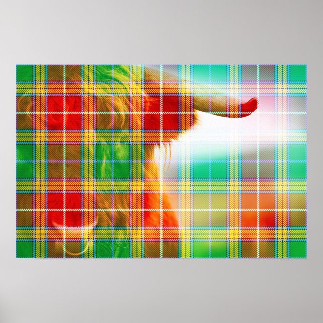 Clan Baxter Tartan & Hairy Coo Poster (Frente)